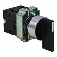 DAYTON Selector Switch: 22 mm Panel Mounting Size, 3 Positions, Extended Lever, 2NO (MPN GGS_116302). Key specifications — AC Contact Rating: 6 A @ 120 V; Action: Momentary/Maintained/Momentary; DC Contact Rating: 0.55 A @ 125 V; Includes Operator Key: No Key Included; Operator Head Material: Plastic; Operator Head Type: Long-Handled Knob; Operator Illumination: Non-Illuminated; Switch Function @ 1st Position: Momentary.