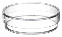 Petri Dish: 57 mm Dia, 16 mm Overall Ht, No Surface Treatment, Lid, Polystyrene, Non-Sterile, Clear (MPN 5PTK0). Key specifications — Includes: Lid; Material: Polystyrene; Brand: APPROVED VENDOR; Surface Type: No Surface Treatment.