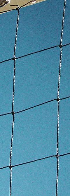 BIRD BARRIER Bird Repellent Netting: Bird Repellent Netting, Heavy, 625 sq ft Coverage Area, Birds (MPN N1-B110). Key specifications — attr973634: BIRD BARRIER; attr973648: Polyethylene; attr973635: Black; attr1167352: Flame.