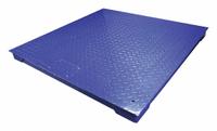 ADAM EQUIPMENT Shipping Scale: 2,500 lb Wt Capacity - Imperial, 48 in Weighing Surface Dp (MPN PT112). Key specifications — Brand: ADAM EQUIPMENT; Readability: 0.2 kg/0.5 lb; Weighing Surface Material: Steel.