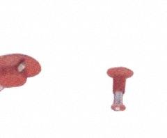 EXCELTA PROBE: Roto-Pic, Cup, 0.5 in_0.25 in_0.375 in Tip Size, Silicone, Brass, 2000WP. Key specifications — attr1293152: 2000WP; attr1293158: 2000R; attr1293159: Roto-Pic; attr1293168: Cup; attr1293156: EXCELTA.