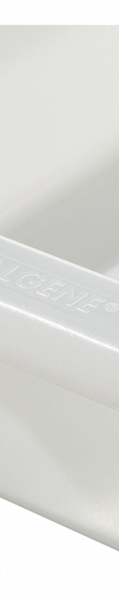 NALGENE Lab Pan: Rectangular - Rectangular Lab Trays