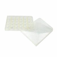 CAPLUGS Tissue Culture Treated Well Plates: Sterile, 24 Wells, 3.5 mL, 85 mm Dia, Square (MPN 333802401FE1). Key specifications — Brand: CAPLUGS; Body Color: Natural; RNase/DNase Free: No; Well Shape: Square; Material: Polystyrene.