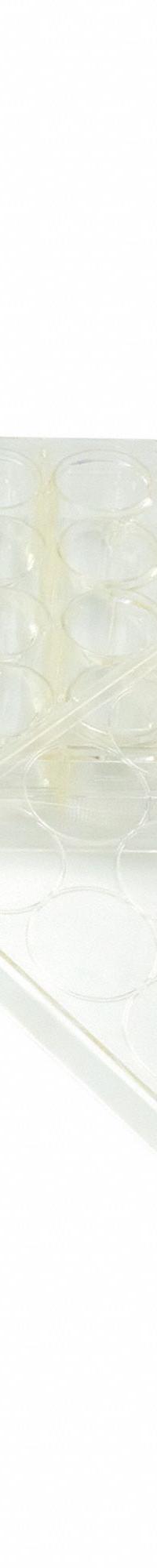 CAPLUGS Tissue Culture Treated Well Plates: Sterile, 24 Wells, 3.5 mL, 85 mm Dia, Square (MPN 333802401FE1). Key specifications — Brand: CAPLUGS; Body Color: Natural; RNase/DNase Free: No; Well Shape: Square; Material: Polystyrene.