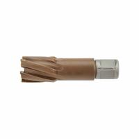 HOLEMAKER TECHNOLOGY Annular Cutter: 5/8 in Cutter Dia, 2 in Max Cutting Dp, TiAlN/TiSiN, Carbide (MPN 109070-0040). Key specifications — attr253884: No; attr253885: TiAlN/TiSiN; attr253886: Carbide; attr253887: Weldon Flat; attr253888: Fractional Inch; attr277149: HOLEMAKER TECHNOLOGY.