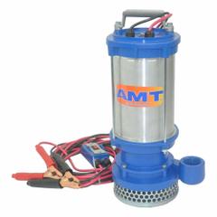 AMT PUMPS Submersible Sump Pump: 1/3 hp, 1/3 in Max. Dia. Solids, Intermittent Duty, 12V DC, FNPT (MPN 5891-DC). Key specifications — Shaft Seal Material: Nitrile Rubber; Impeller Material: Cast Iron; Includes: Conductor Cable with Battery Clips with On/OFF Switch; Rated Voltage: 12V DC; Volute Material: Aluminum; Brand: AMT PUMPS.