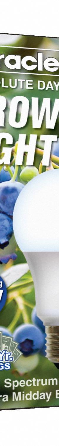 LED Grow Bulb: LED, A19, 120V, Blue/Full/Broad, 150 W Incandescent Watt Equivalency (MPN 601816). Key specifications — Plant Growth Application: Seed Starting; Brand: MIRACLE LED; Bulb Shape: A19; Spectrum: Full/Broad.