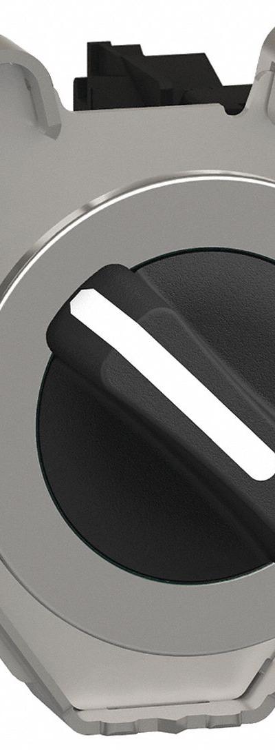 SCHNEIDER Selector Switch: 30 mm Panel Mounting Size - Selector Switches