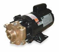 Centrifugal Pump: 3/4 hp, 115/230V AC, 50 ft Max Head, 1 1/4 in , 1 in Intake and Disch, ODP (MPN 2ZWR7). Key specifications — Brand: DAYTON; Motor Enclosure Type: ODP.