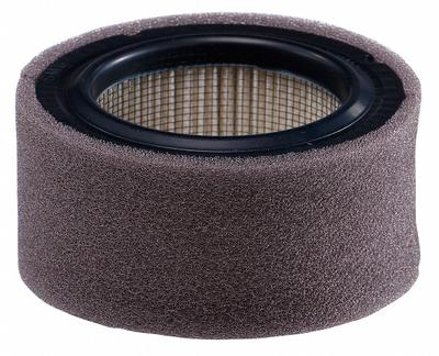 JOHNSON CONTROLS Pneumatic Replacement Intake Filter: Particulate, 10 micron - Replacement Filter Elements