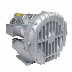 GAST Regenerative Blower: 2.5 hp, 65 in wc Max Op Pressure, 60 in wc Max Vacuum, 22/12.5-11 A (MPN R5125-2). Key specifications — attr49842: Single; attr49816: GAST; attr49813: R5125-2; attr49822: 22/12.5-11 A; attr49827: Female; attr49830: NPT; attr49833: NPT; attr49845: 115/208 to 230V AC.
