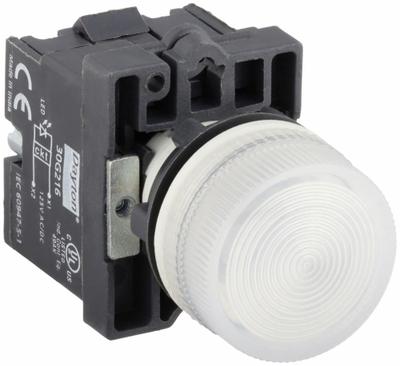 Dayton Pilot Light: 22 mm Panel Mounting Size, White, LED - LED Pilot-Lights