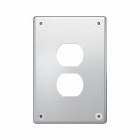 LEGRAND Wall Plate: Duplex Outlet, 1 Gang, Silver, Jumbo Size (MPN WSP61D2PS). Key specifications — Brand: LEGRAND; Material: Stainless Steel; Includes: Allen Head Screws.