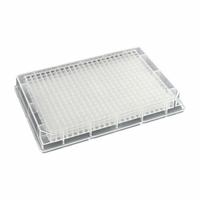 MTC BIO Deep-Well Well Plate: Non-Sterile, 384 Wells, 0.12 mL, 3.6 mm Dia, RNase/DNase Free, Square (MPN D3384-01). Key specifications — Brand: MTC BIO; Body Color: Colorless; RNase/DNase Free: Yes; Well Shape: Square; Material: Polypropylene.