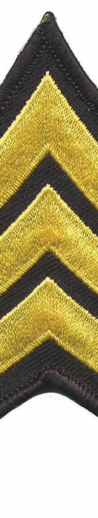HEROS PRIDE Embroidered Patch: SGT, 3 in, Black/Gold, Plastic, Sew-On, Rank Insignia, 1 PR (MPN 15404S). Key specifications — attr1074238: Sew-On; attr188498: 3 in; attr188499: Gold; attr188500: Plastic; attr188503: SGT; attr193746: HEROS PRIDE.