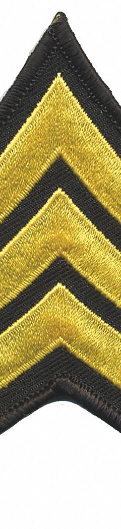 HEROS PRIDE Embroidered Patch: SGT, 3 in, Black/Gold, Plastic, Sew-On, Rank Insignia, 1 PR (MPN 15404S). Key specifications — attr1074238: Sew-On; attr188498: 3 in; attr188499: Gold; attr188500: Plastic; attr188503: SGT; attr193746: HEROS PRIDE.