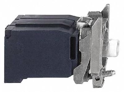 SCHNEIDER Light Block: 22 mm Size, Clear, Incandescent, 480 V AC/DC Rating - Lamp Modules