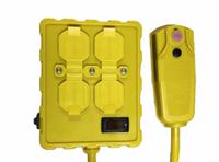 APPROVED VENDOR Plug-In GFCI: Manual Reset, 6 ft Lg, 12/3, 5-15P Plug, 15 A Current, 125V AC, 5-15R (MPN 875LG9). Key specifications — NEMA Plug Configuration: 5-15P; NEMA Receptacle Configuration: 5-15R; Brand: APPROVED VENDOR; Voltage: 125V AC.