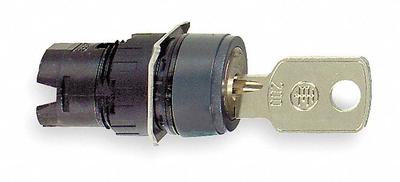 SCHNEIDER Keyed Selector Switch: 2 Position, 16 mm Panel Mounting Size - Panel-Mounted Key Switches without Contacts
