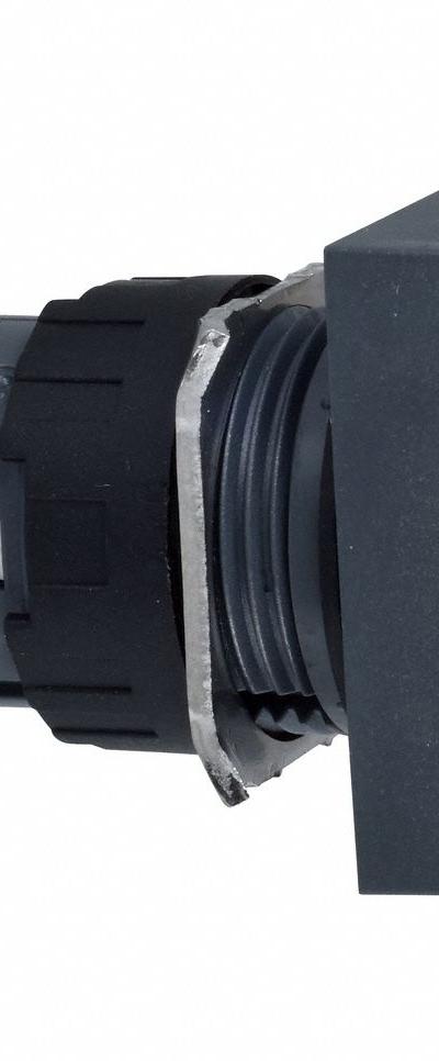 SCHNEIDER Flush Push Button: Green, 16 mm Mounting Size, Non-Metallic, Momentary - Illuminated Flush-Mount Push-Button Operators