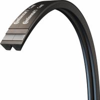 CONTINENTAL V-Belt: 2/B255, 2 Ribs, 258 in Outside Lg, 1 5/16 in Top Wd, 17/32 in Thick (MPN 20040330)