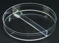 Petri Dish: 100 mm Dia, 15 mm Overall Ht, Tissue Culture Treated, Polystyrene, Sterile, Clear (MPN 229682). Key specifications — Material: Polystyrene; Brand: CELLTREAT; Surface Type: Tissue Culture Treated.