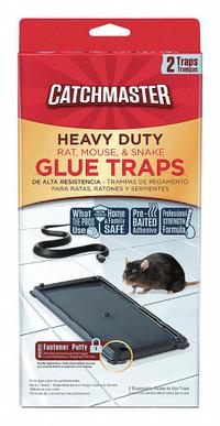CATCHMASTER Glue Trap: Glue Trap, 1/4 in Overall Ht, 5 1/4 in Overall Wd, Plastic, 2 PK (MPN 404SD). Key specifications — Reusable: No; Material: Plastic; Brand: CATCHMASTER.