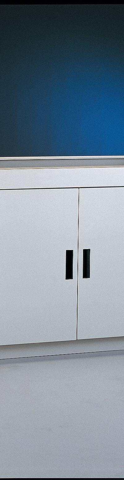 LABCONCO Solvent Storage Cabinet: 22 in Overall Dp, 4 ft Overall Wd, 36 3/4 in Overall Ht - Fume Hood Cabinets