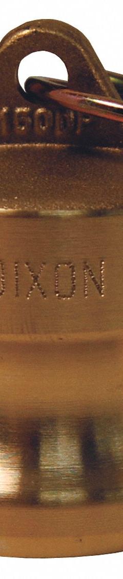 Dust Plug: 1/2 in Coupling Size, 150 psi Max. Working Pressure @ 70 F, 1 13/32 in Overall Lg (MPN G50-DP-BR). Key specifications — Brand: DIXON VALVE & COUPLING.