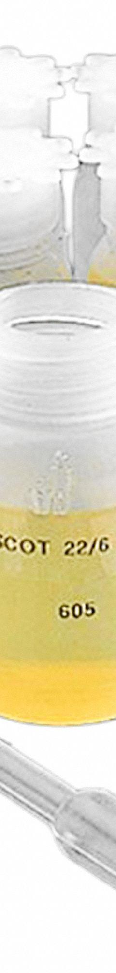 GLOBE SCIENTIFIC Laboratory Bottle: LDPE, 250 mL, Closure Included, Natural, Polypropylene, Unlined (MPN 600410). Key specifications — Brand: GLOBE SCIENTIFIC; Graduated: Yes; Body Color: Natural.