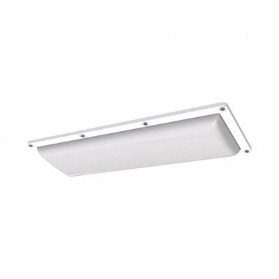 IRONCLAD Surface Mount Fixture: 4,200 lm, 4000K, 40 W, 120/277V AC, Steel, 2 ft Lg - Linear Vandal-Resistant LED Lights