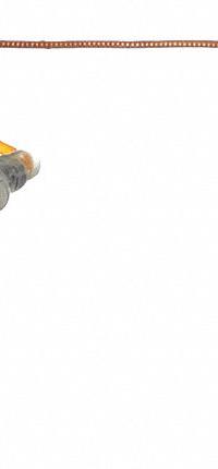 DAYTON Gas Valve: Mfr Part # 2304885. Key specifications — Manufacturer Part Number: 2304885.