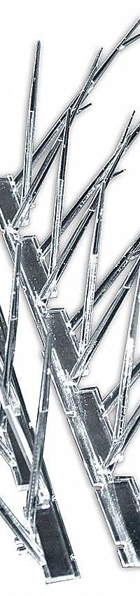 BIRD-X Bird Repellent Spikes: Std, Plastic Base, Clear, 50 ft Overall Lg, Plastic Spikes (MPN SP-50). Key specifications — Brand: BIRD-X; Spike Material: Plastic; Targeted Birds: Starlings; Base Material: Plastic; Ledge Width: Standard.