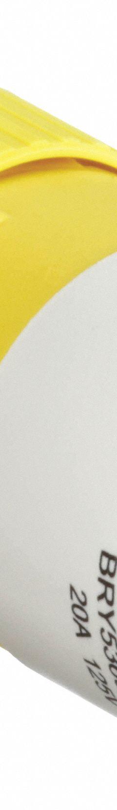 BRYANT Straight Blade Connector: 5-20R, 125V AC, 20 A, 2 Pole, 3 Wire, Yellow (MPN BRY5369NCSY)