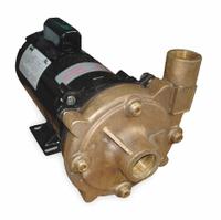 Centrifugal Pump: 1 1/2 hp, 115/230V AC, 110 ft Max Head, 1 1/2 in , 1 in Intake and Disch (MPN 2ZXA3). Key specifications — Brand: DAYTON; Motor Enclosure Type: ODP.