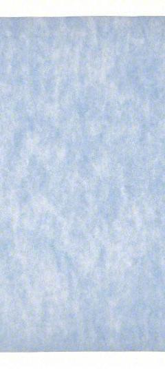 GRAINGER Air Filter Pad: 16 in x 20 in x 1 in, Polyester, Blue/White (MPN 5W097). Key specifications — attr1286261: Polyester; attr1286264: Yes; attr1286288: White; attr1286283: GRAINGER.