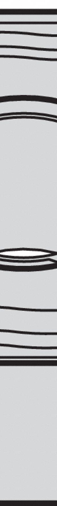 WIDIA Diamond Turning Insert: CNMG432FF, CNMG120408FF (MPN 4172346). Key specifications — attr257732: CNMG432FF; attr257733: CNMG120408FF.