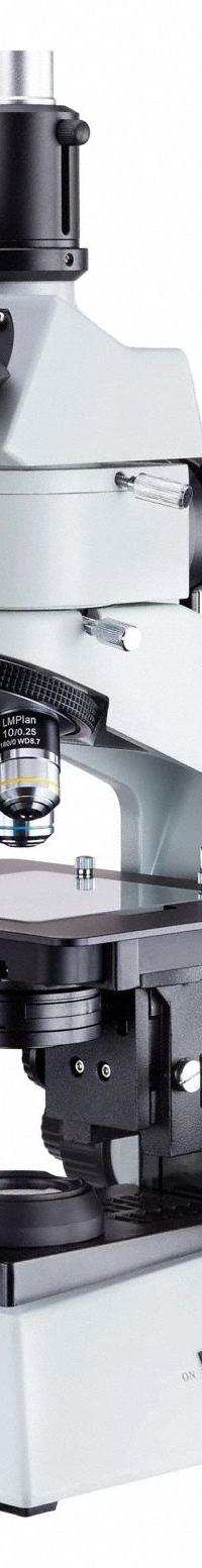 GLOBE SCIENTIFIC Microscope: Compound, Trinocular, 40X to 500X, 500X (MPN A-ME580T-PZ-2L). Key specifications — Brand: GLOBE SCIENTIFIC; Maximum Magnification Capability: 500X; Optical Magnification: 40X to 500X.