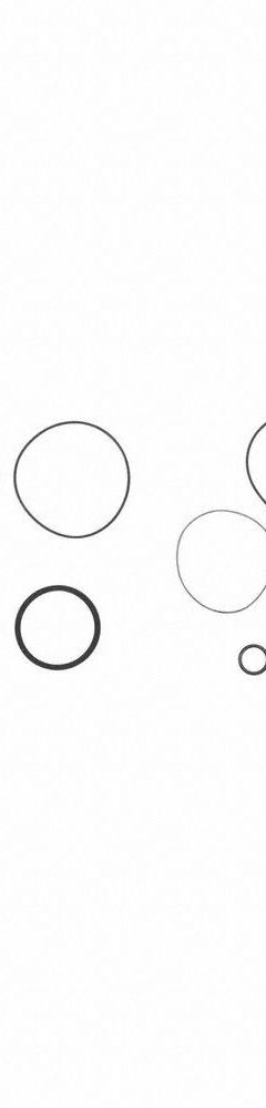 FILL-RITE Viton Seal Kit: Viton Seal Kit, Fill-Rite, (6) O-Rings (MPN SK15VIT)