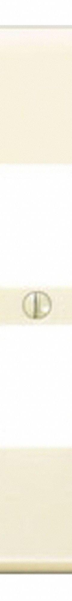 LEVITON Wall Plate: Duplex Outlet, 1 Gang, Ivory, Jumbo Size (MPN 86103). Key specifications — Brand: LEVITON; Material: Plastic.