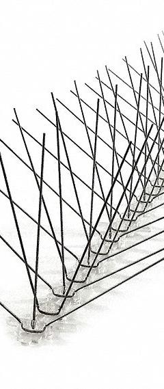 BIRD-X Bird Repellent Spikes: Wide, Plastic Base, Clear, 50 ft Overall Lg, Stainless Steel Spikes (MPN EWS-50). Key specifications — Brand: BIRD-X; Spike Material: Stainless Steel; Targeted Birds: Starlings; Base Material: Plastic; Ledge Width: Wide.