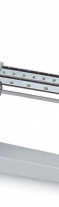 OHAUS Mechanical Beam Bench Scale: 1 3/10 lb Wt Capacity - Imperial, 0.1 g (MPN 1610-00). Key specifications — Weighing Units: g; Washdown: No; Brand: OHAUS; Readability: 0.1 g.