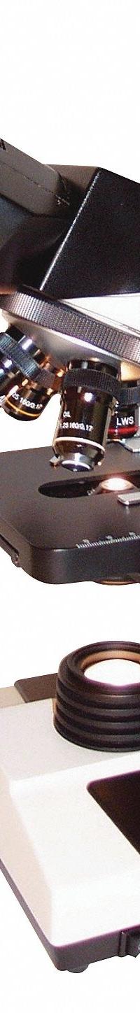 LW SCIENTIFIC Medical Microscope: Compound, Trinocular, 40X to 1000X, 18 mm Optical Field of View (MPN R3M-TN4A-DAL3). Key specifications — Stand Type: Standard; Base Dimensions: 7 in x 9 in; Brand: LW SCIENTIFIC; Eyepiece Protractor: No; Maximum Magnification Capability: 1000X; Optical Magnification: 40X to 1000X; Working Distance: 0.3 mm to 20 mm.