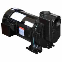 Centrifugal Pump: 230/460V AC, 63 ft Max Head, 1 1/2 in Compat Intake and Disch, TEFC, 3 (MPN 2ZXP8). Key specifications — Brand: DAYTON; Motor Enclosure Type: TEFC.