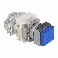 SCHNEIDER Extended Push Button Operator: Non-Illuminated, Extended Profile, Metallic, 30 mm, 2NO/2NC (MPN 9001KXRAAH2). Key specifications — Brand: SCHNEIDER; Action: Momentary; Series: 9001K; Push Button Material Type: Metallic.