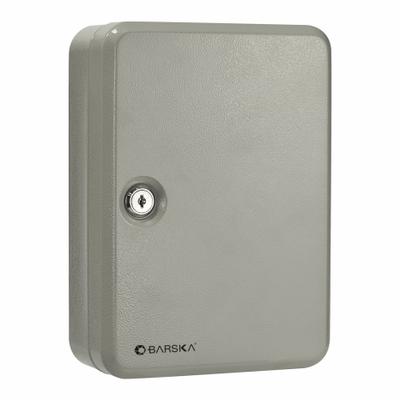 BARSKA Key Cabinet: 48 Key Capacity, Single Key Lock, Steel, Gray, 10 in Ht, 7 in Wd - Key Cabinets with Key Lock