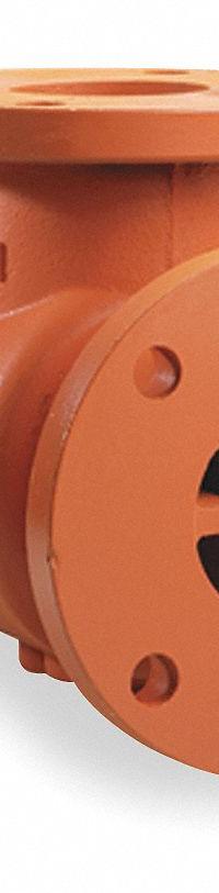 SSI Strainer: 8 in, 6 in Outlet Connection Size, FF Flange, 17 in Lg, Cast Iron, 0.0331 in (MPN 0800-125SFIP-42). Key specifications — Brand: SSI; Body Material: Cast Iron; Screen Material: 304 Stainless Steel; Seal Material: Buna-N.