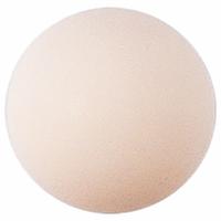 ARO Check Ball: Check Ball, 90532-C, Hytrel Material. Key specifications — Manufacturer Part Number: 90532-C.