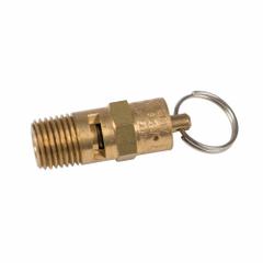 SPEEDAIRE Safety Valve for Models 3300142, 3300241.: J0021750037, 787U76/787U77/787U82, J0021750037. Key specifications — attr948866: J0021750037; attr948874: Safety Valve; attr948875: Speedaire; attr948868: 787U76; attr948869: J0021750037.