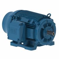WEG General Purpose Motor: Rigid Base Mount, Totally Enclosed Fan Cooled, 60 hp, 230/460V AC/380V AC (MPN 06036ET3E364TS-W22G). Key specifications — Brand: WEG; Nameplate Voltage @ 60 Hz: 380V AC; Full Load Current @ 60 Hz: 67.0 A; Nameplate RPM @ 60 Hz: 3,555 RPM; Motor Enclosure: TEFC.